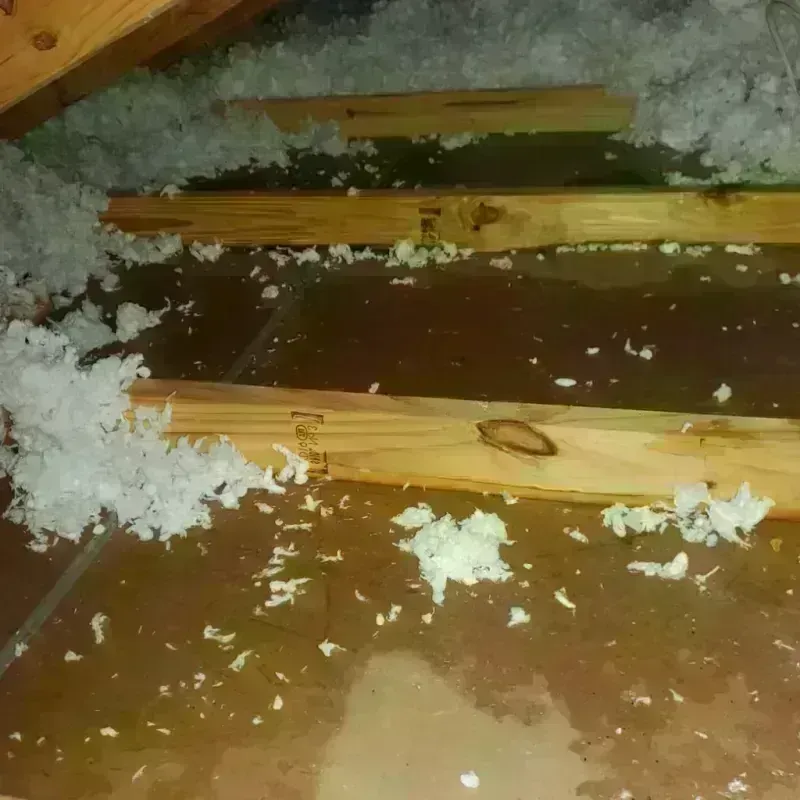 Attic Water Damage in Dranesville, VA